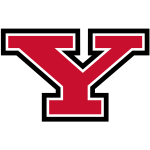 Logo of the Youngstown State Penguins